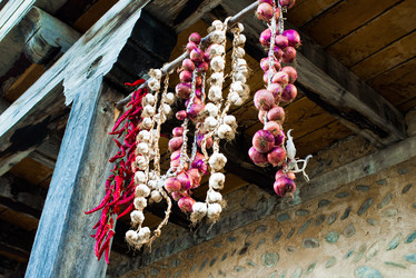 Similar image 10481779