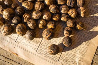 Similar image 10481783