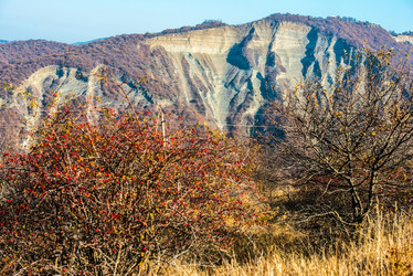 Similar image 10481811