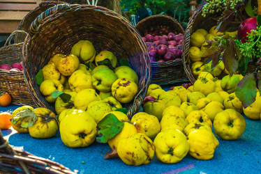 Similar image 10481820