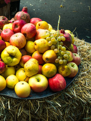 Similar image 10481822