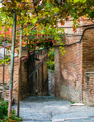 Similar image 10481825