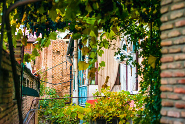 Similar image 10481826