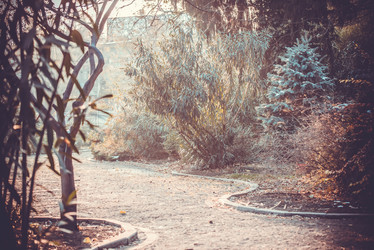 Similar image 10481858