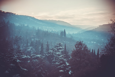 Similar image 10481866