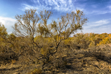 Similar image 10482054