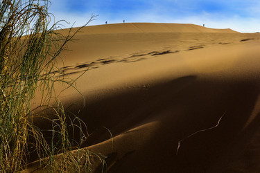 Similar image 10482056