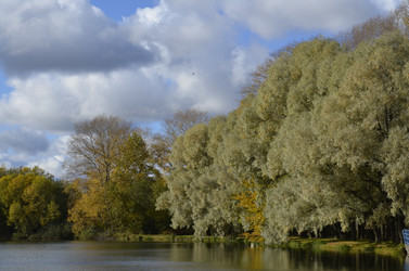 Similar image 10482081