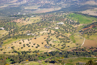 Similar image 10482308