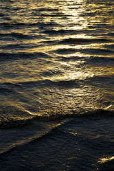 Similar image 10482309