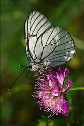 Similar image 10482318