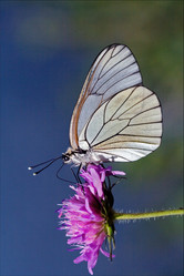 Similar image 10482319