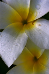 Similar image 10482331