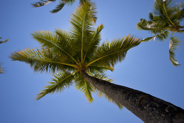 Similar image 10482332