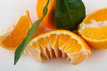 Similar image 10482387