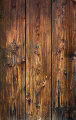 Similar image 10482446