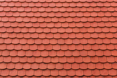 Similar image 10482449