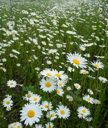 Similar image 10482464