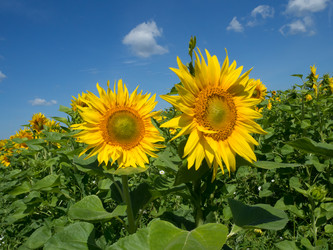 Similar image 10482465