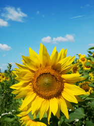 Similar image 10482466