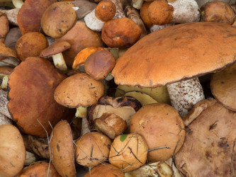 Similar image 10482467