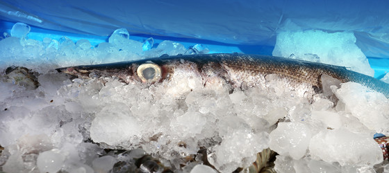 Similar image 10482558