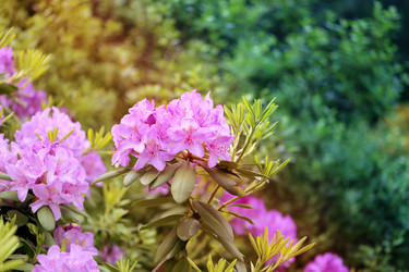 Similar image 10482560