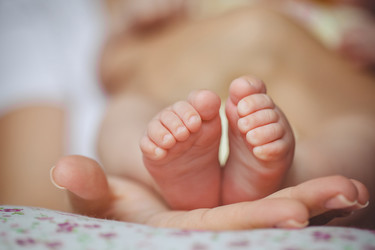 Similar image 10482695