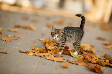 Similar image 10482757