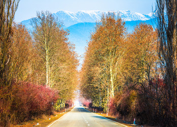 Similar image 10483172