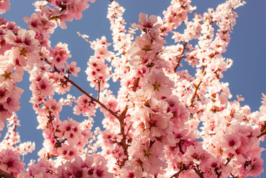 Similar image 10483193