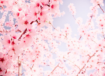 Similar image 10483195