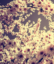 Similar image 10483197