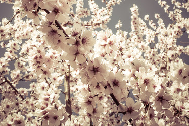 Similar image 10483199