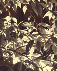 Similar image 10483217