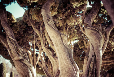 Similar image 10483221