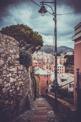 Similar image 10483298