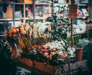 Similar image 10483331