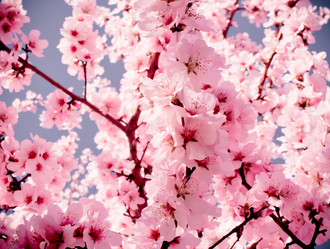 Similar image 10483340