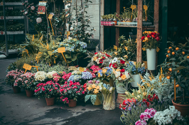 Similar image 10483341