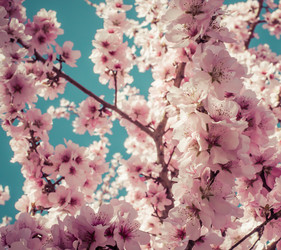 Similar image 10483342