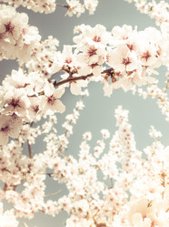 Similar image 10483347