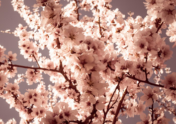 Similar image 10483348