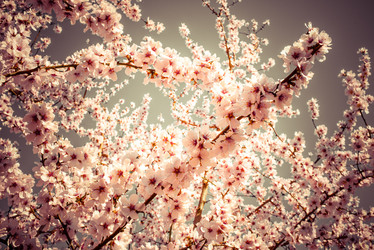 Similar image 10483349