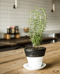 Similar image 10483396