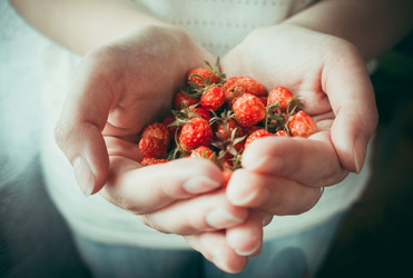 Similar image 10483441