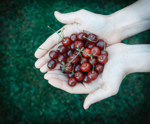 Similar image 10483449