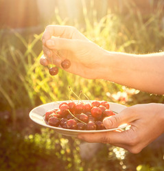 Similar image 10483450