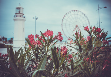 Similar image 10483474