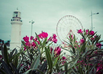 Similar image 10483476